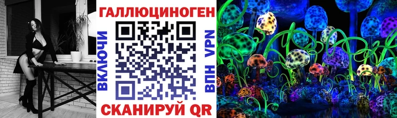 Псилоцибиновые грибы Psilocybe  Кингисепп 