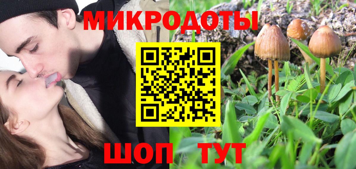 Псилоцибиновые грибы Psilocybine cubensis Кингисепп