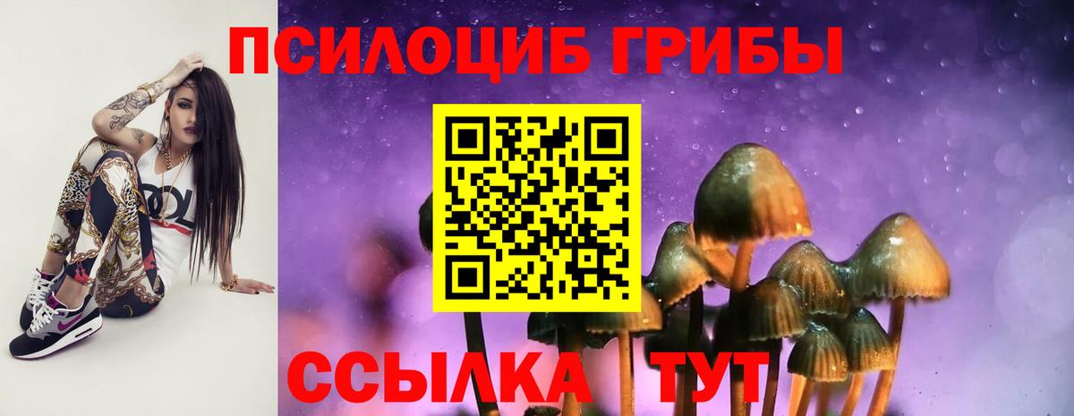 Псилоцибиновые грибы ЛСД Кингисепп